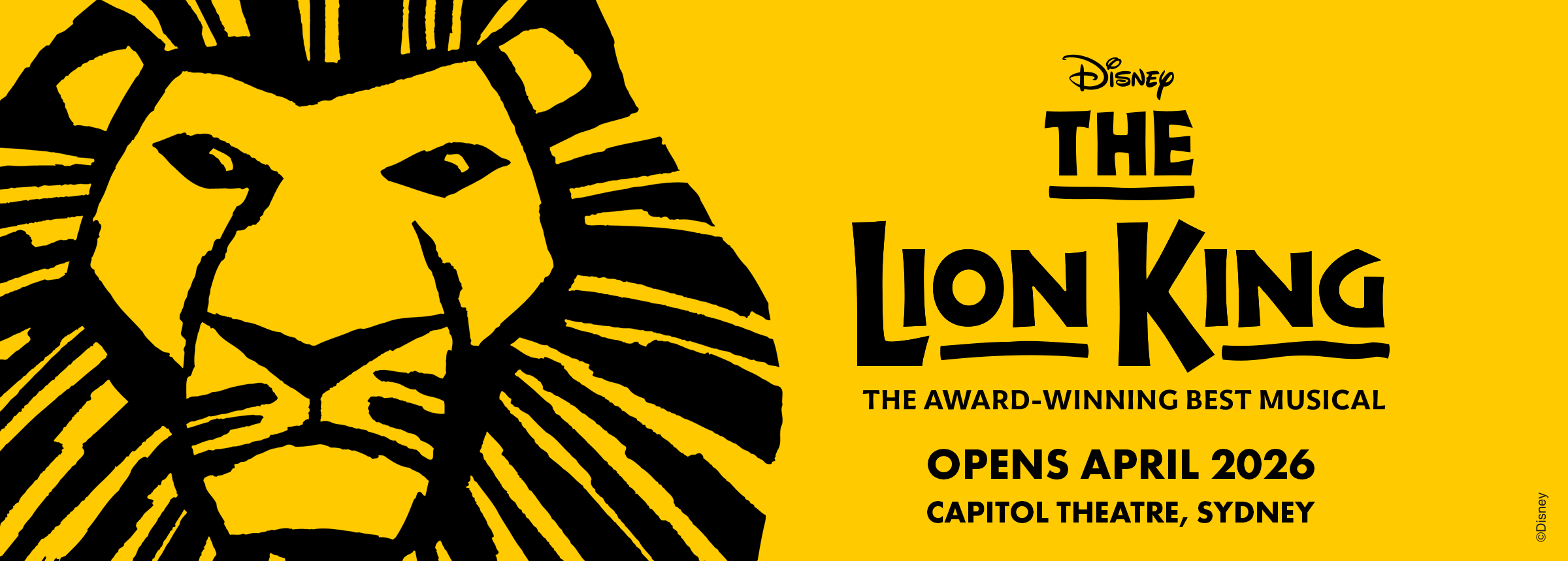 The Lion King Banner Image